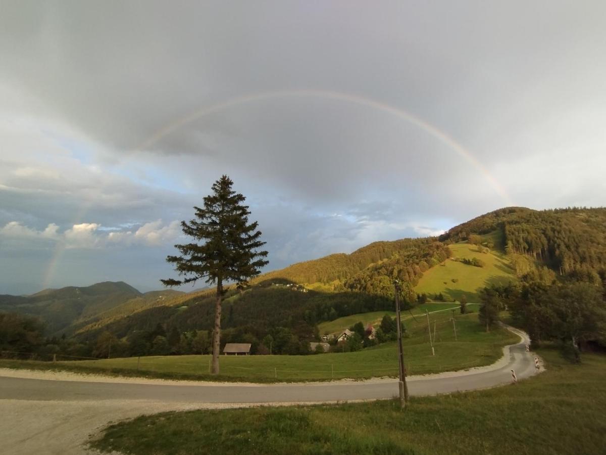 Planinski Dom Vrhe Hotel Trbovlje ภายนอก รูปภาพ